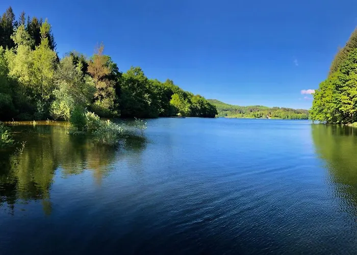 Dans Le Parc D'un Manoir Du Xixeme