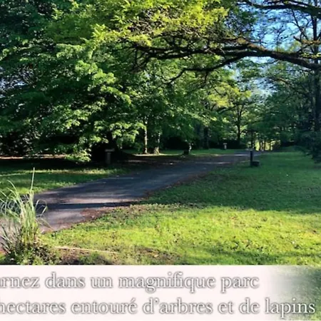 Dans Le Parc D'un Manoir Du Xixeme *