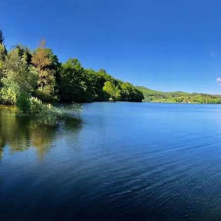 Dans Le Parc D'un Manoir Du Xixeme