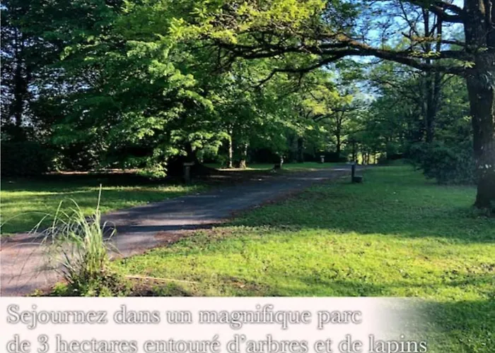 Dans Le Parc D'un Manoir Du Xixeme *