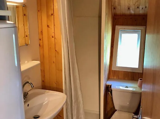 Dans Le Parc D'un Manoir Du Xixeme