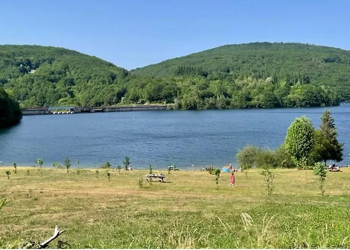 Dans Le Parc D'un Manoir Du Xixeme
